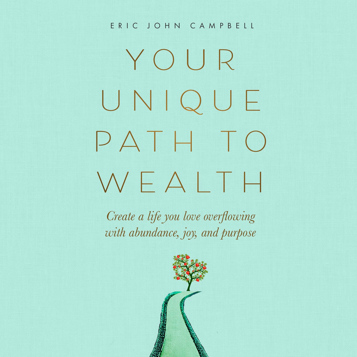 Your Unique Path to Wealth - Audiobook